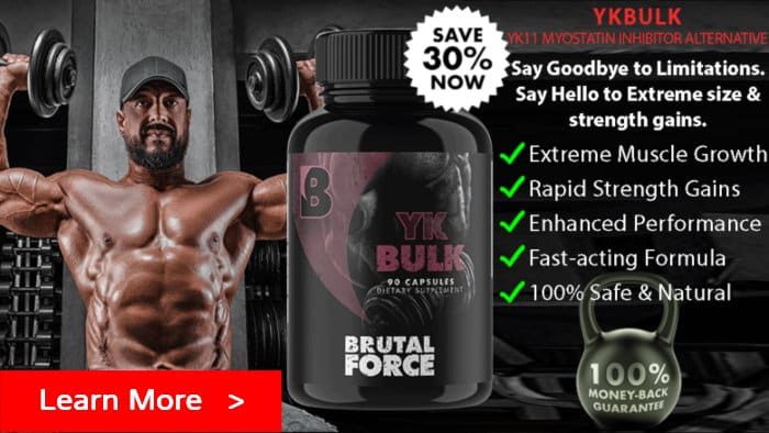 Best YK11 Alternative - Brutal Force YKBULK