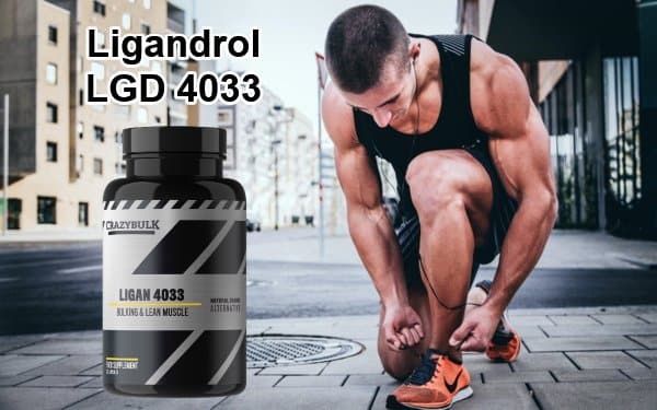 Ligandrol review - LGD 4033 Reviews