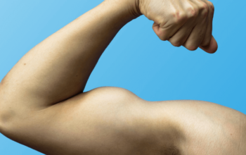 Small Muscles